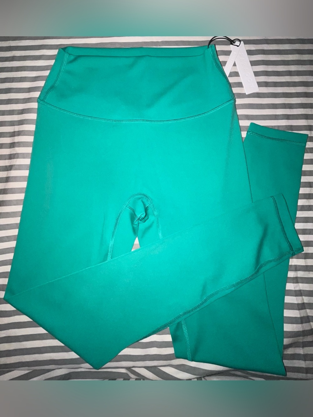 Paragon Fitwear Reluna Sculptseam Plus Legging in Dark Mint Size M